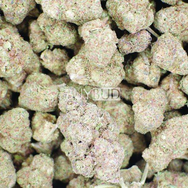 Sherbacio Cannabis