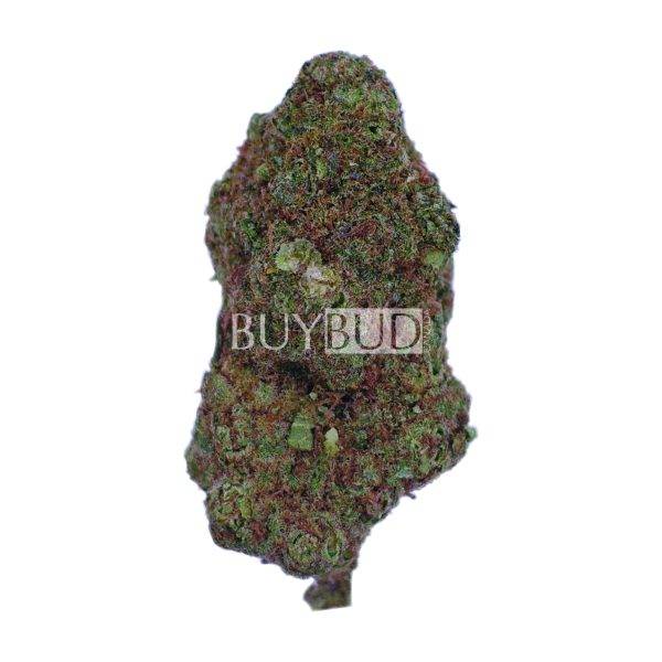 Sherbacio Cannabis
