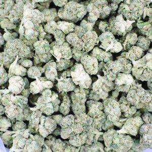 bc kush popcorn cannabis