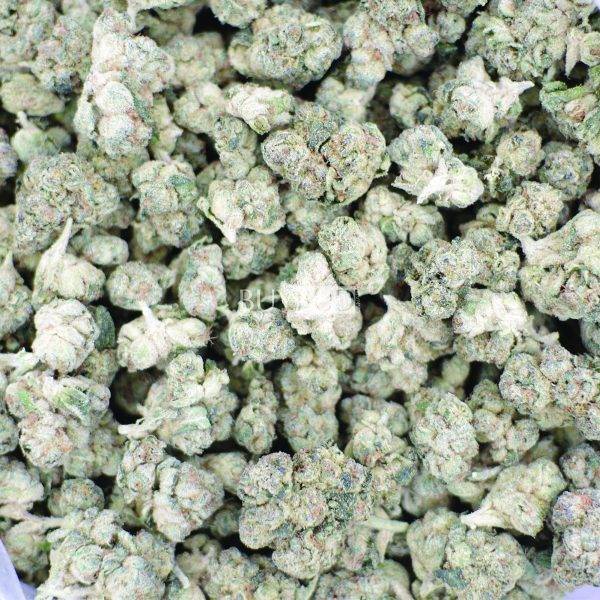 bc kush popcorn cannabis