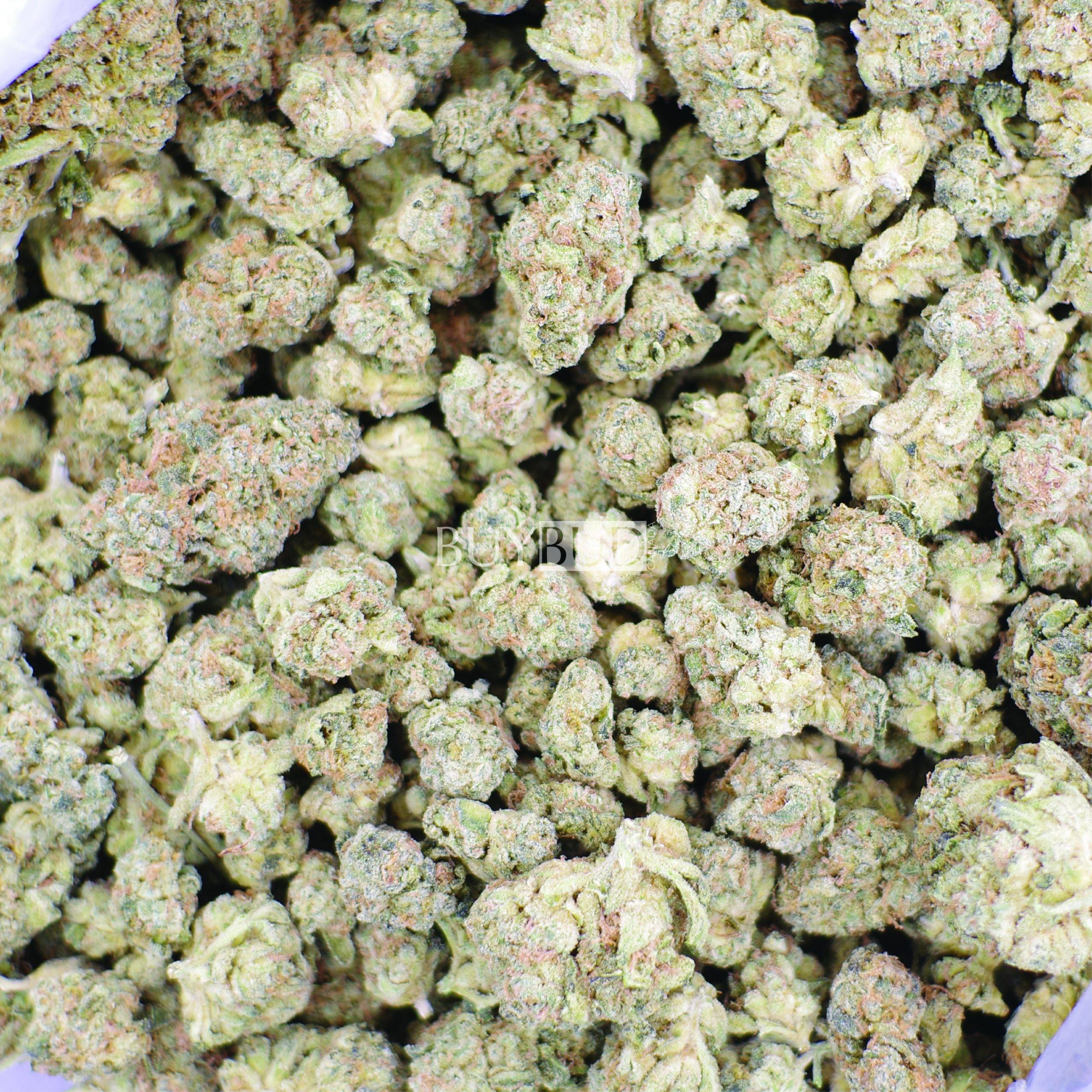 blood orange popcorn cannabis