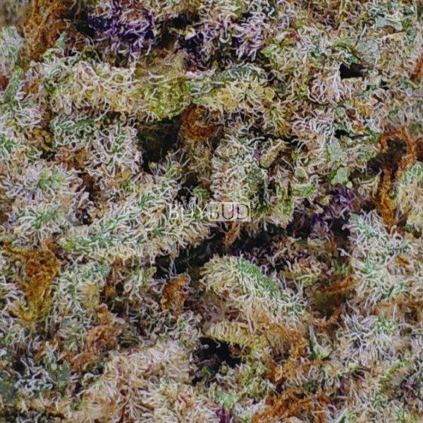 blue fire cannabis
