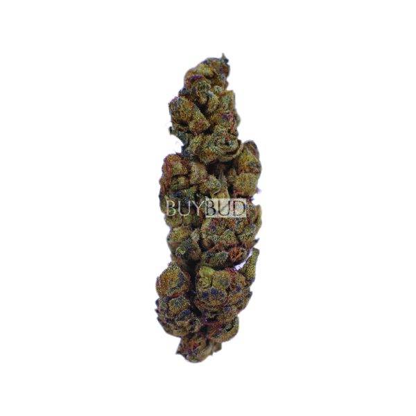 cheesewreck cannabis