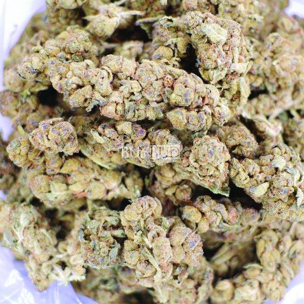 cheesewreck cannabis