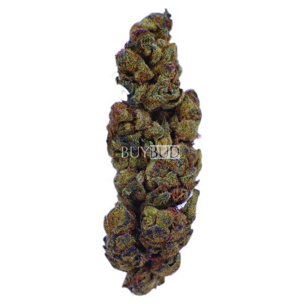 cheesewreck cannabis
