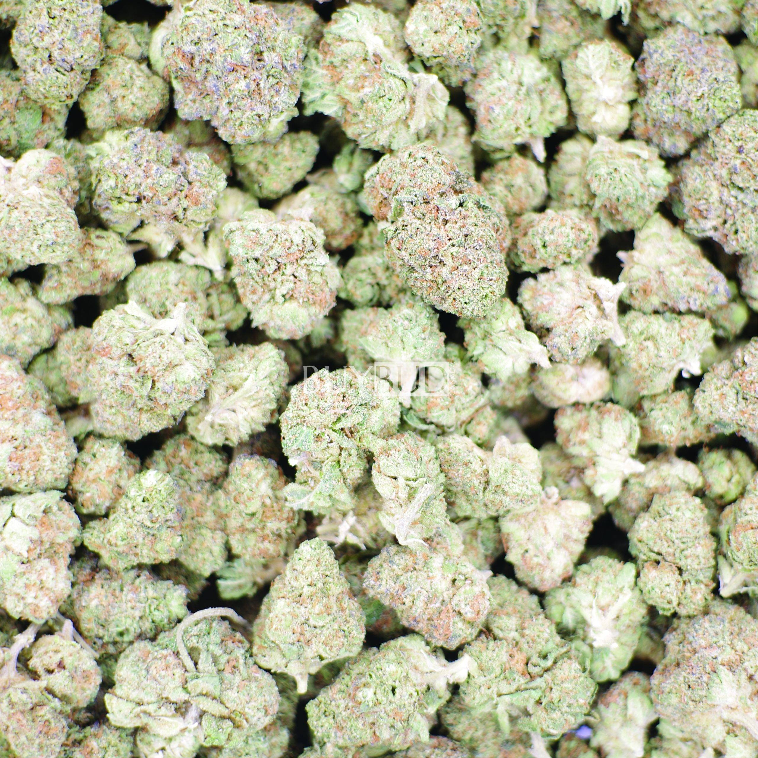 durban poison popcorn cannabis