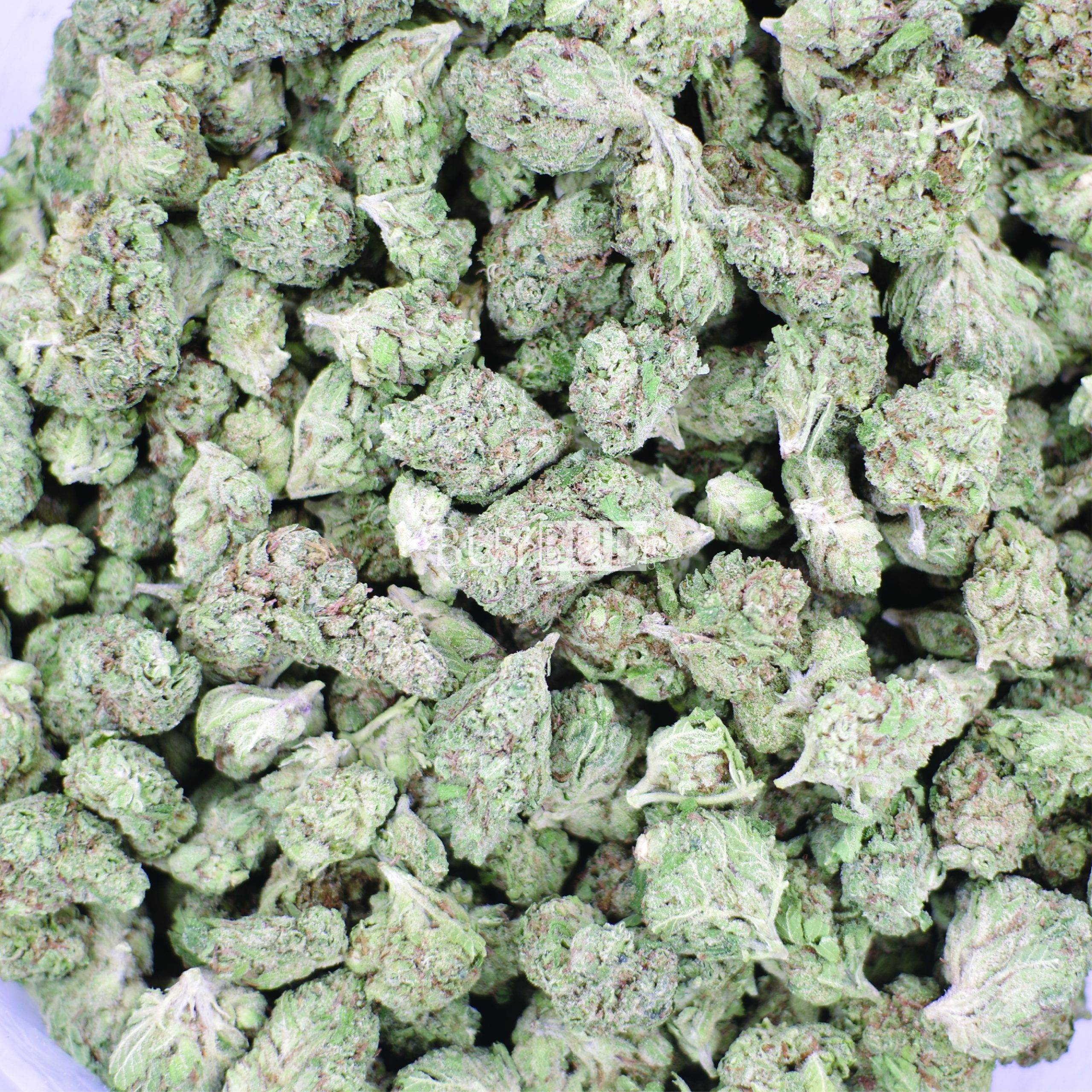 ghost train haze popcorn cannabis