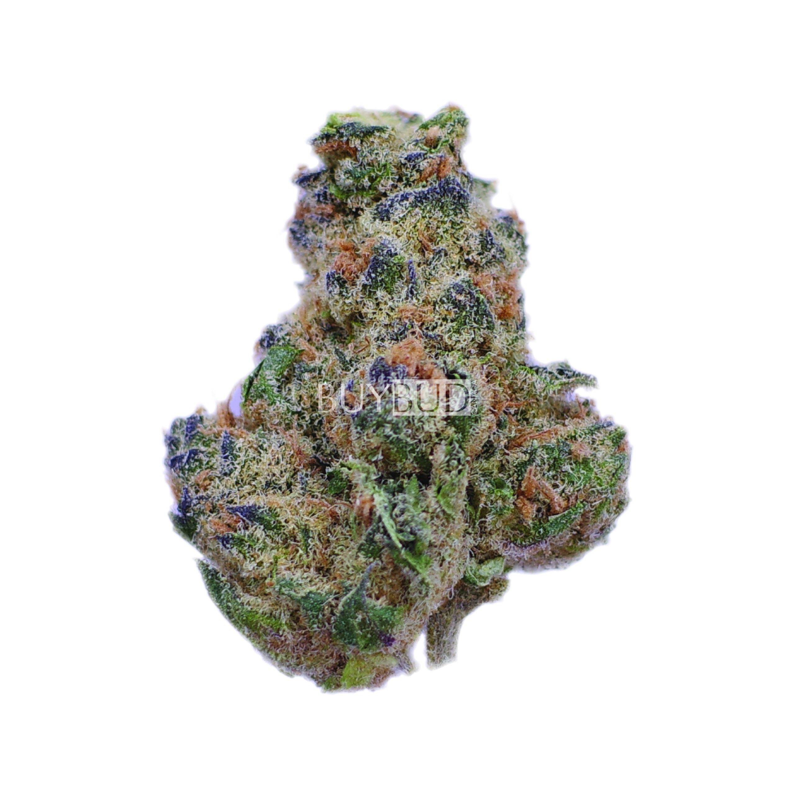 girl scout cookies cannabis