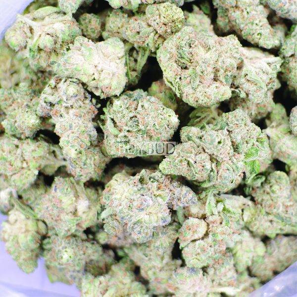 girl scout cookies cannabis