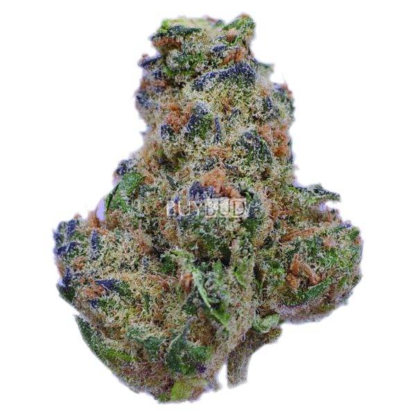 girl scout cookies cannabis