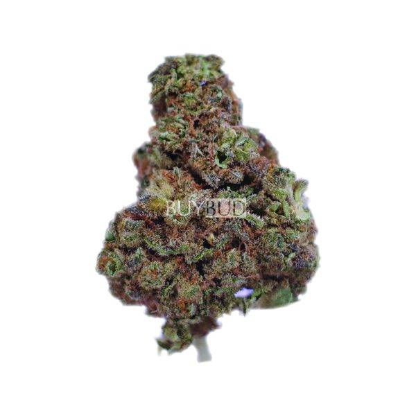 grease monkey cannabis