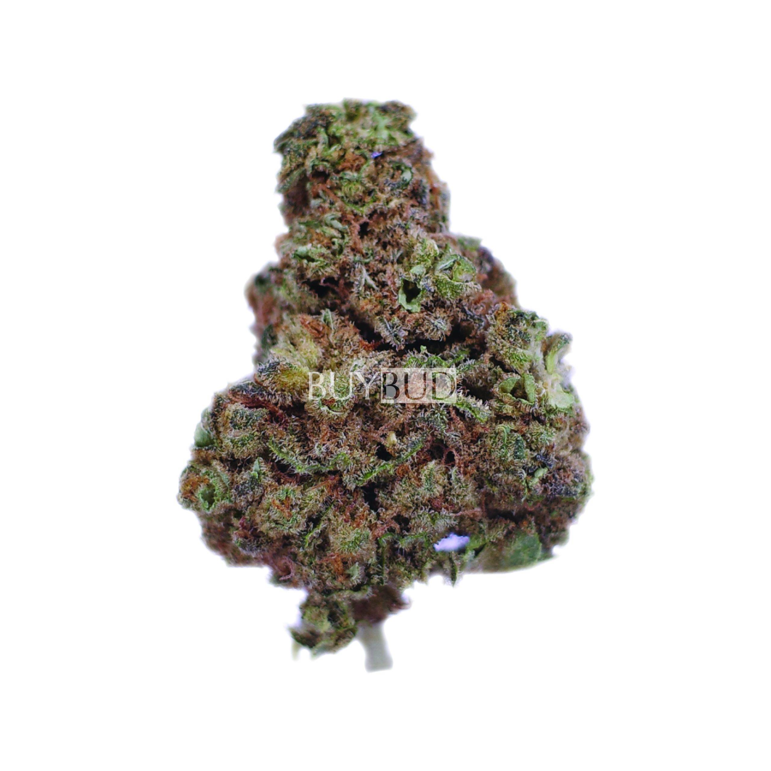 grease monkey cannabis