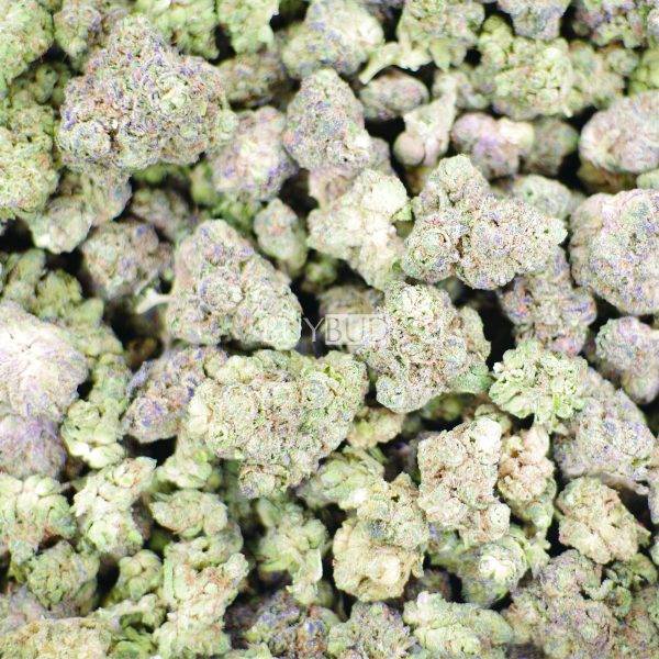 grease monkey cannabis