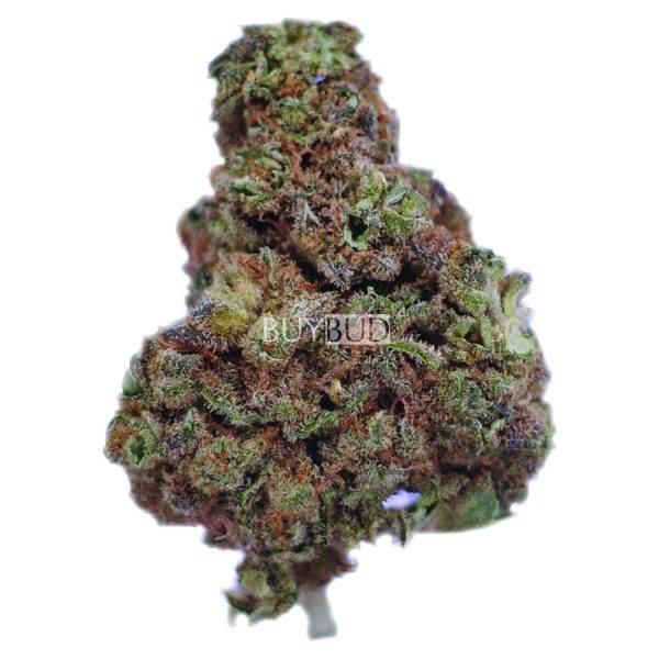 grease monkey cannabis