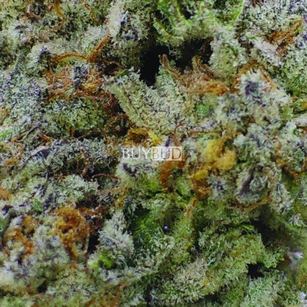 ice wine cannabis
