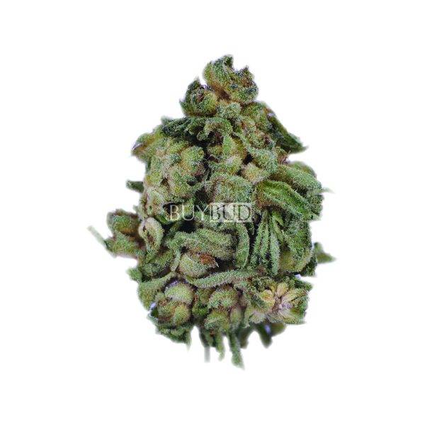 jimi hendrix cannabis