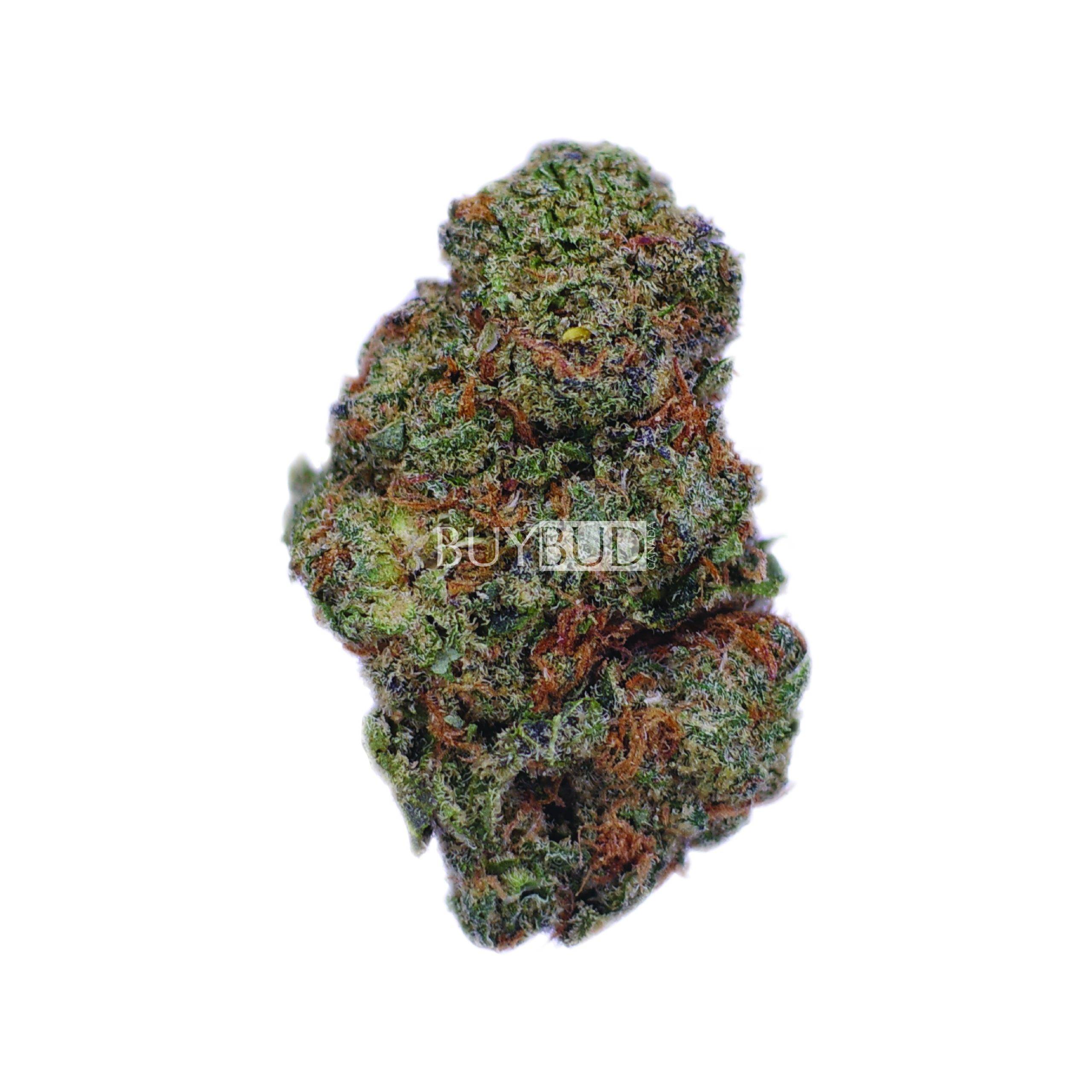 monkey butter cannabis