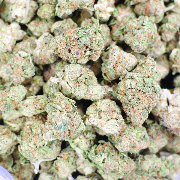 monkey butter cannabis