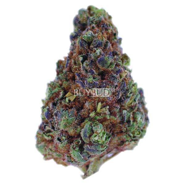 red congolese cannabis