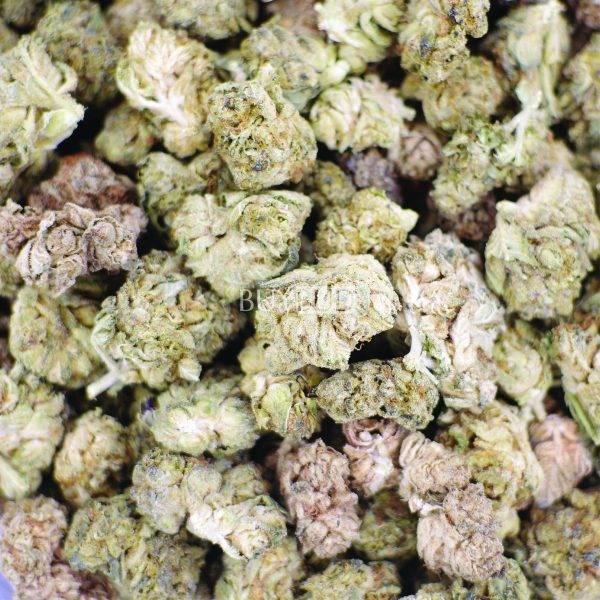 runtz popcorn cannabis