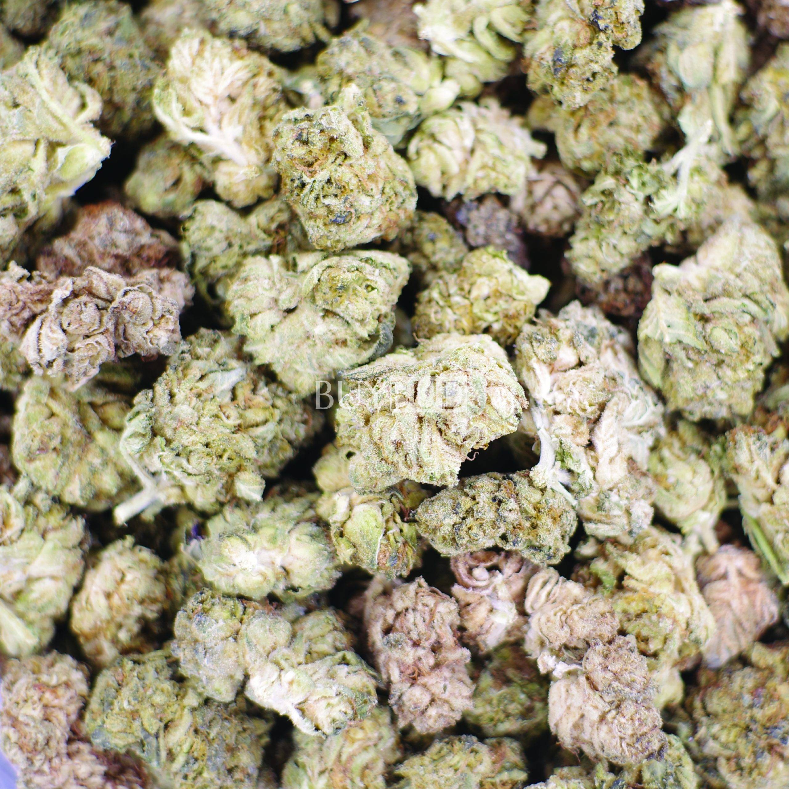 runtz popcorn cannabis