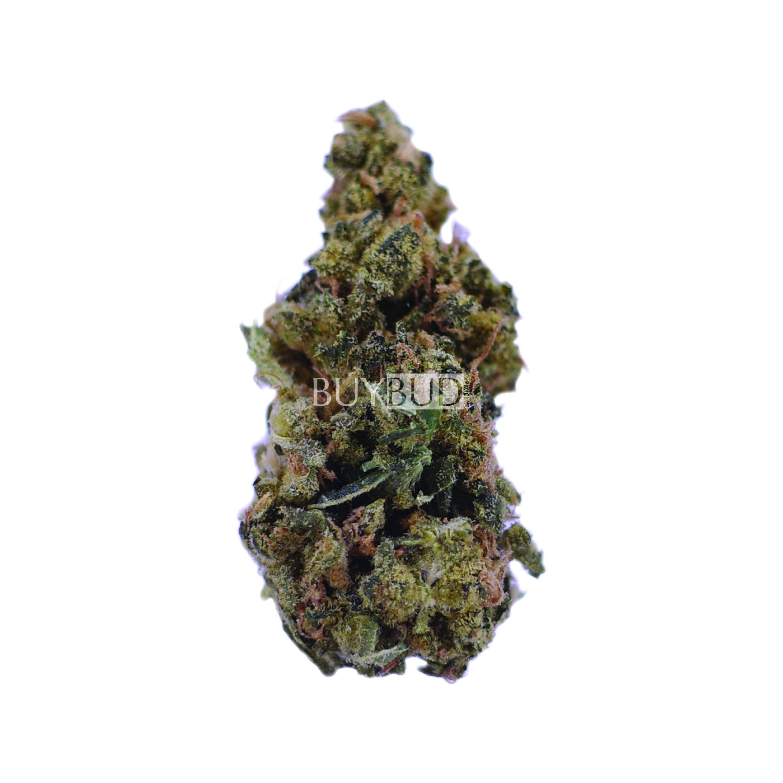 skywalker og cannabis