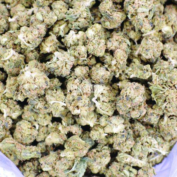 skywalker og cannabis