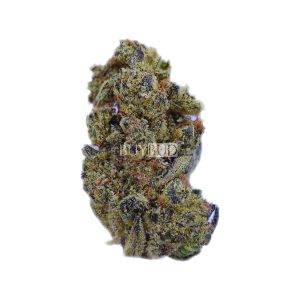 snow cone cannabis