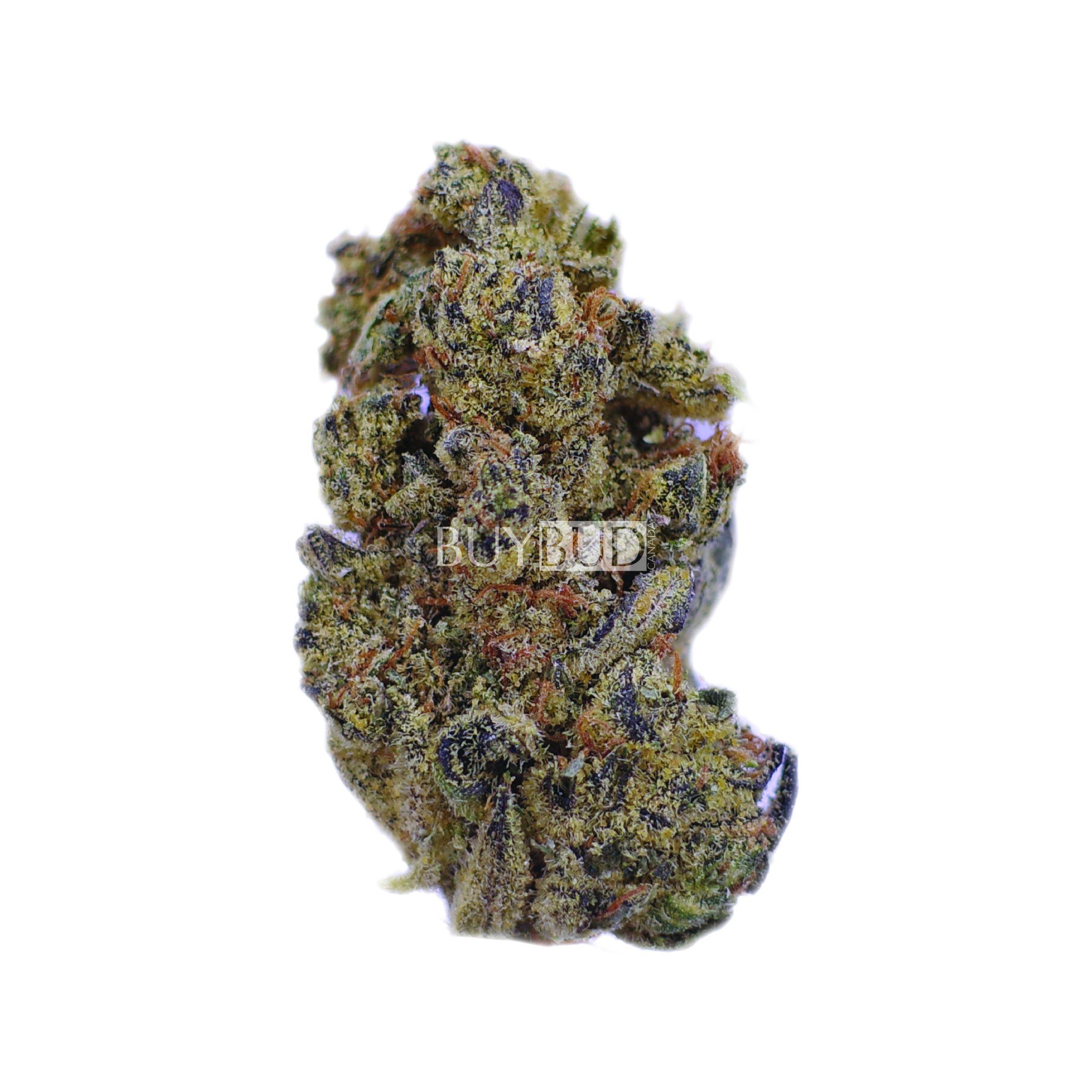 snow cone cannabis