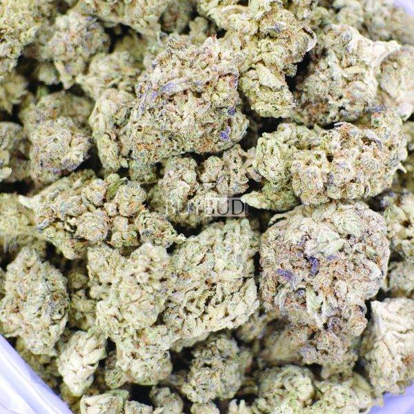 snow cone cannabis
