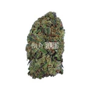 treasure island cannabis
