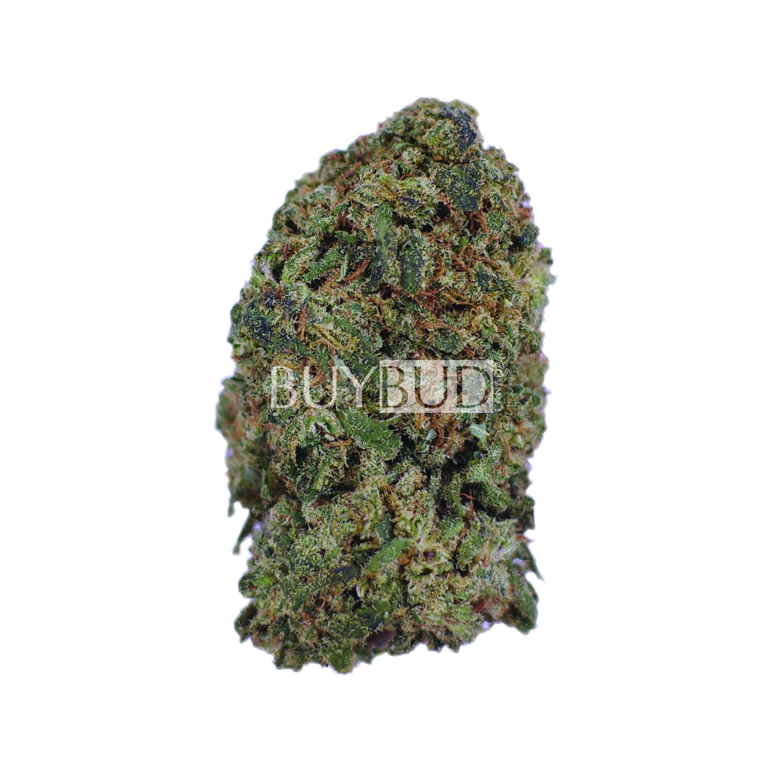 treasure island cannabis