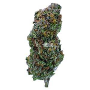 mk ultra cannabis