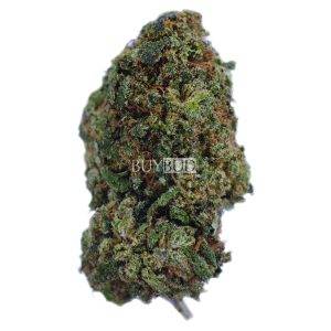 trainwreck cannabis