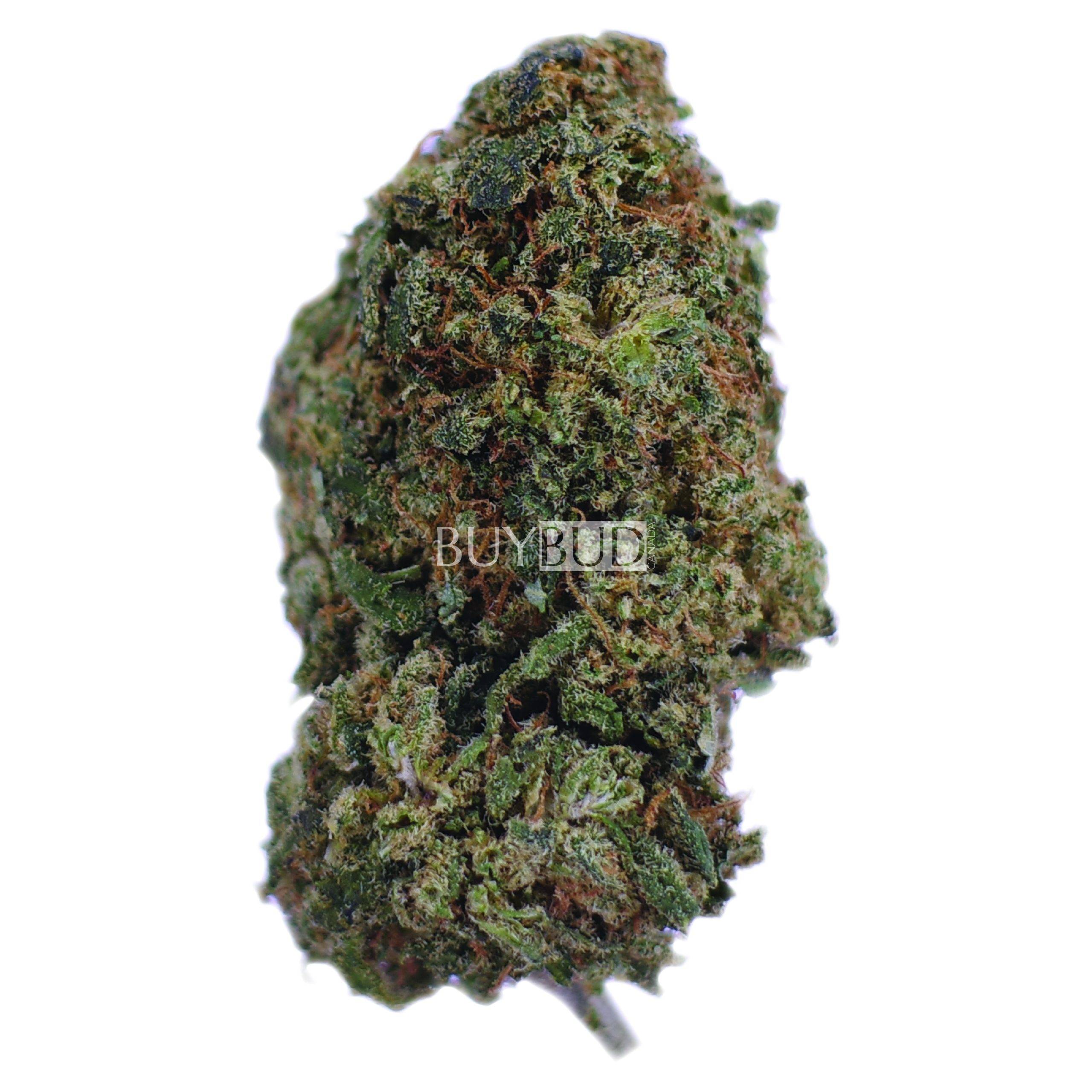 trainwreck cannabis