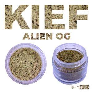alien og kief