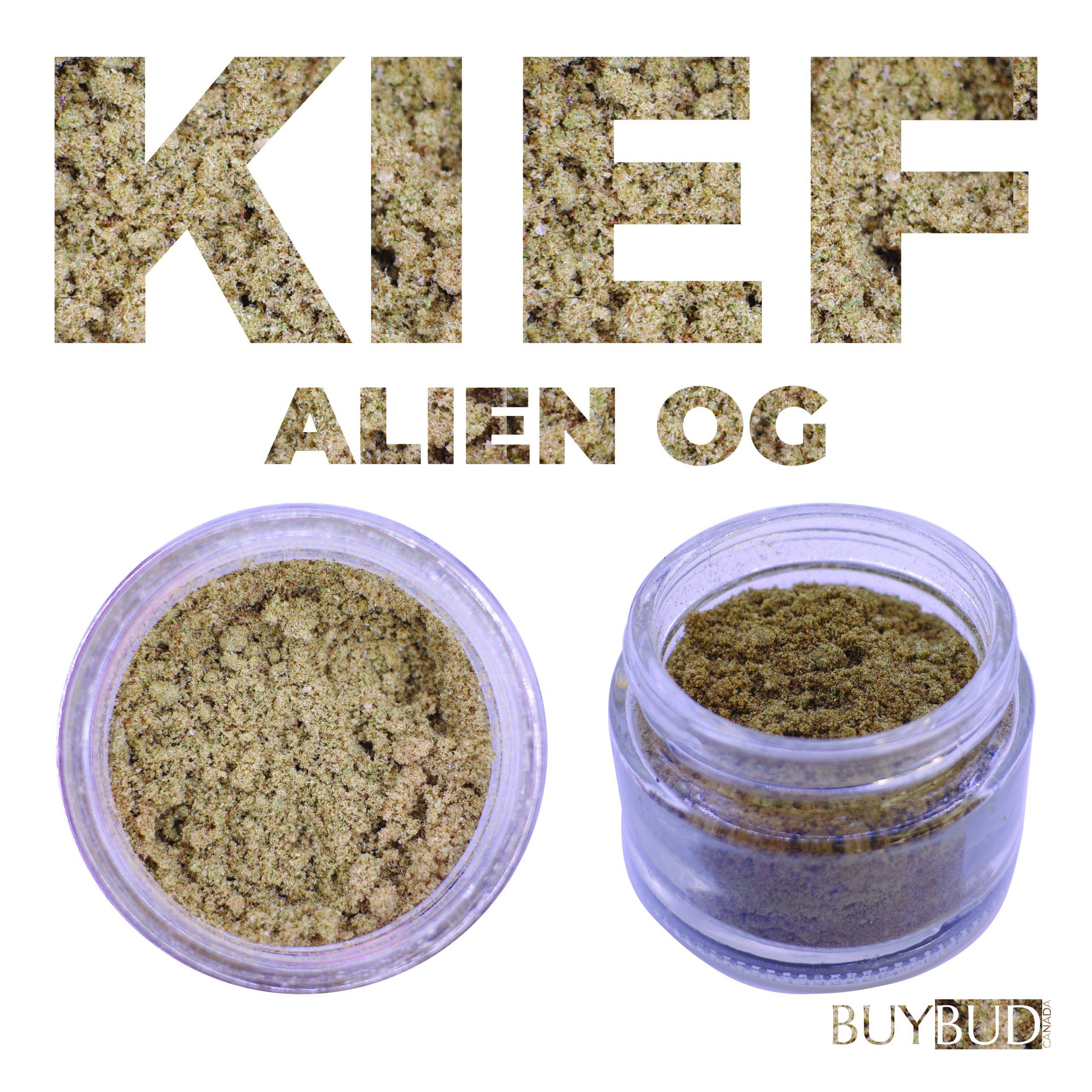 alien og kief