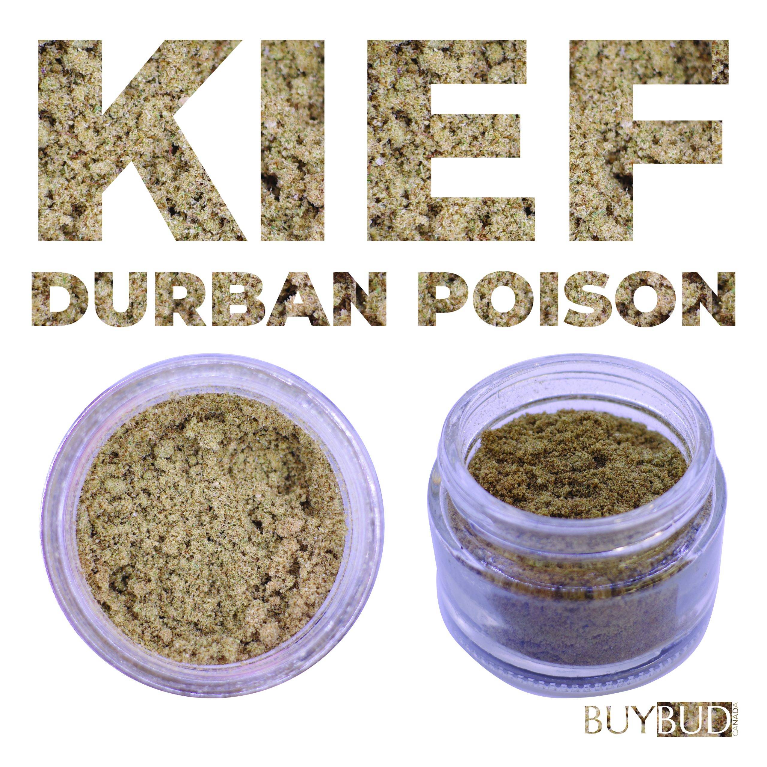 durban poison kief