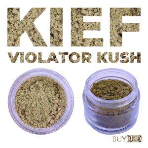 violator kush kief
