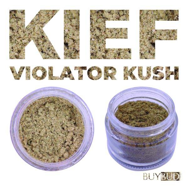 violator kush kief