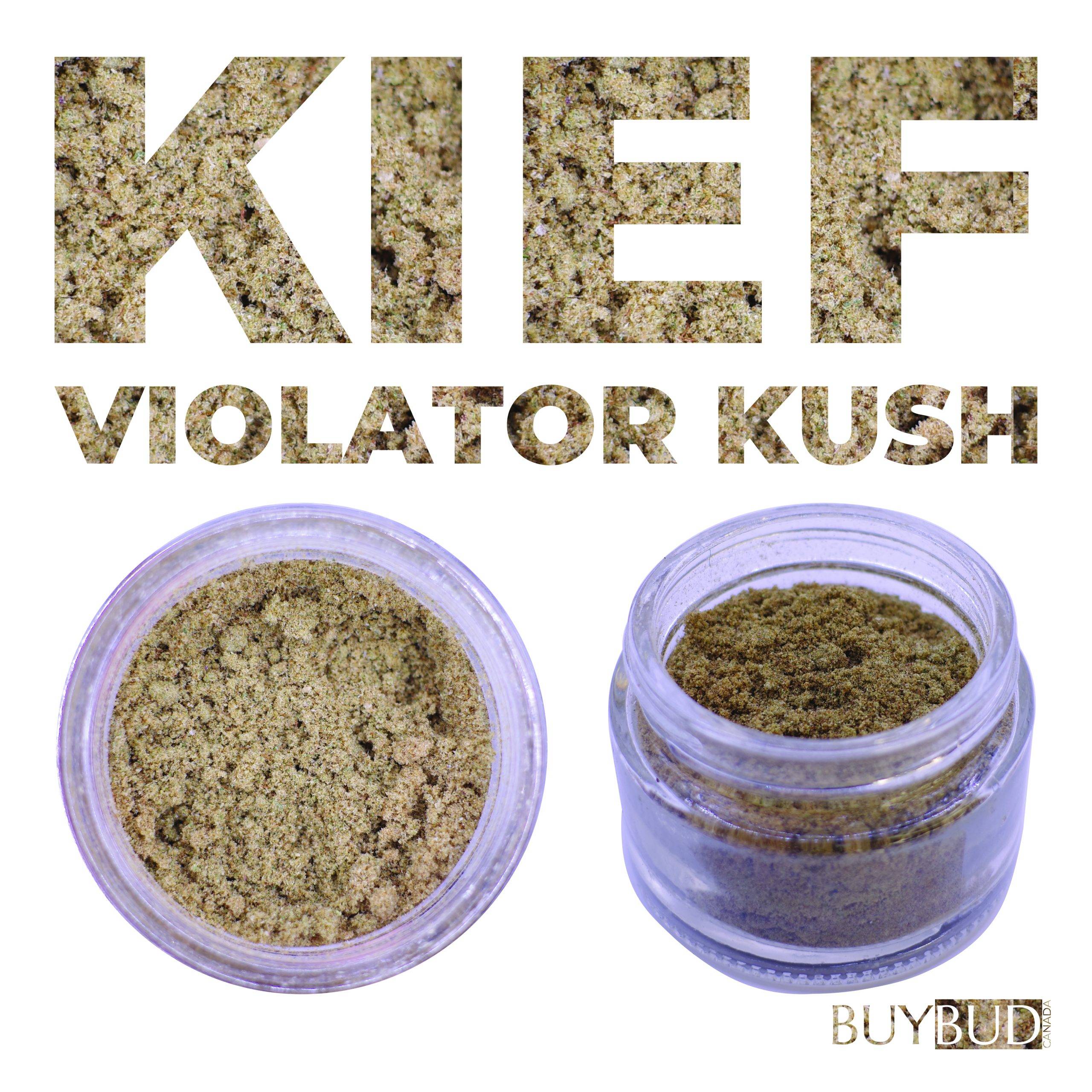 violator kush kief