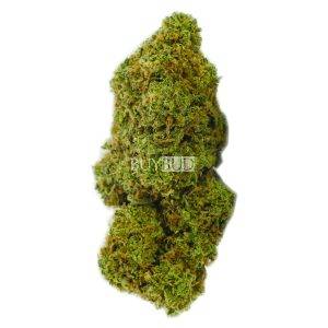 black diamond cannabis