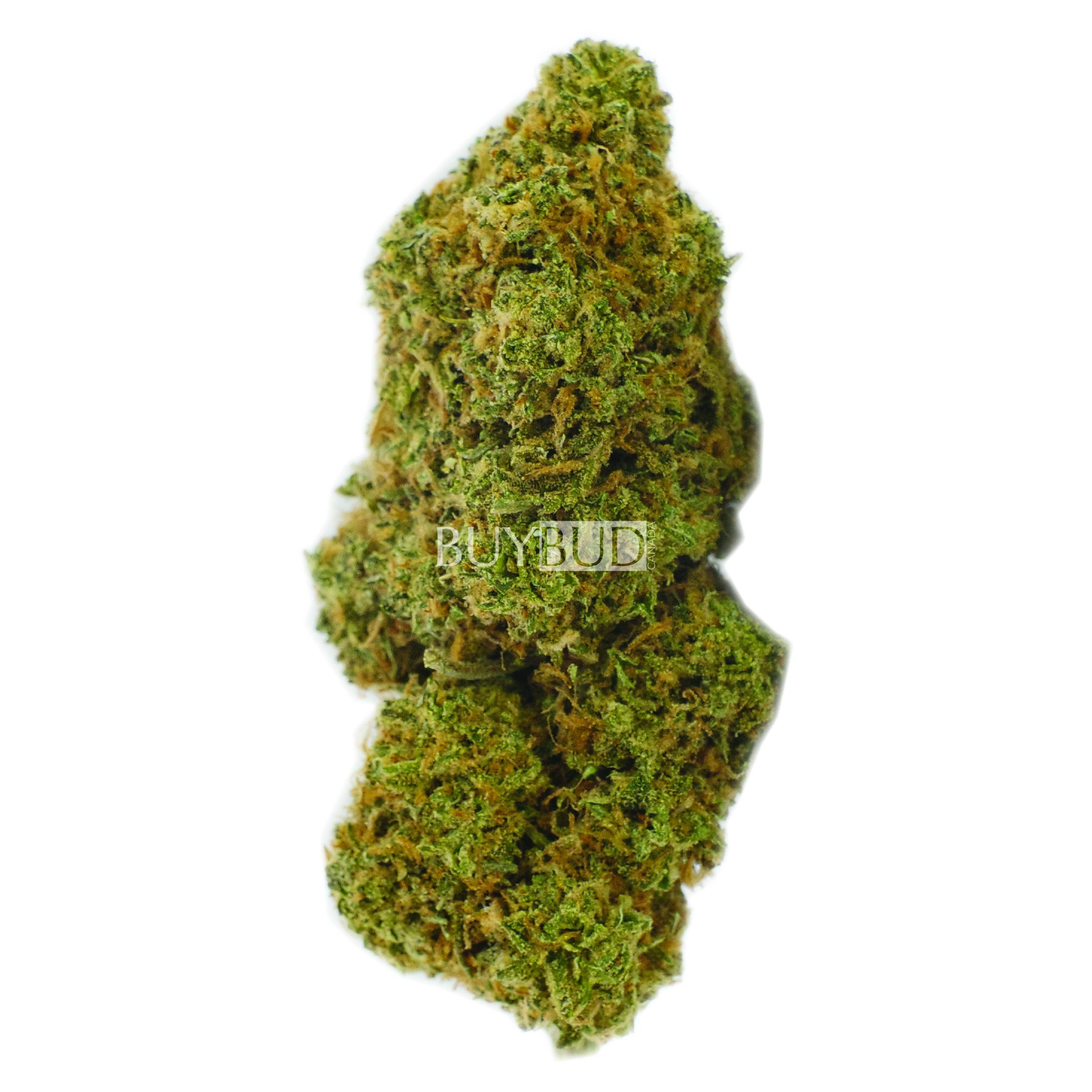black diamond cannabis