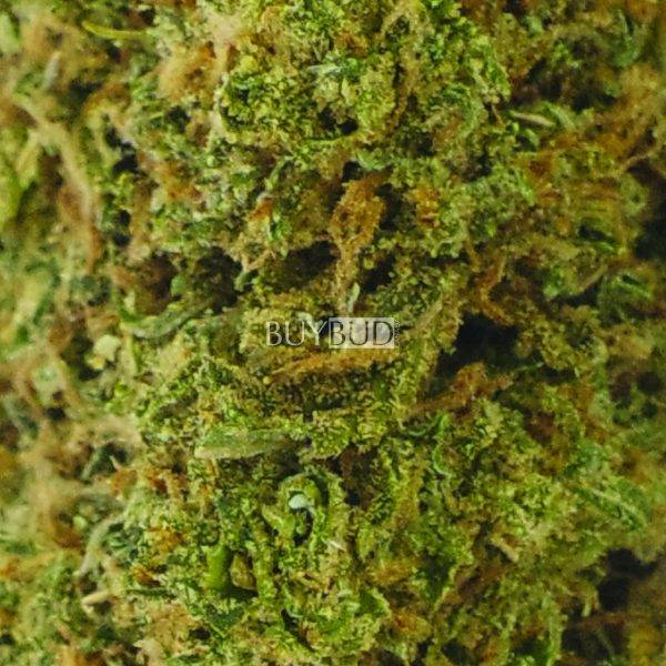 black diamond cannabis