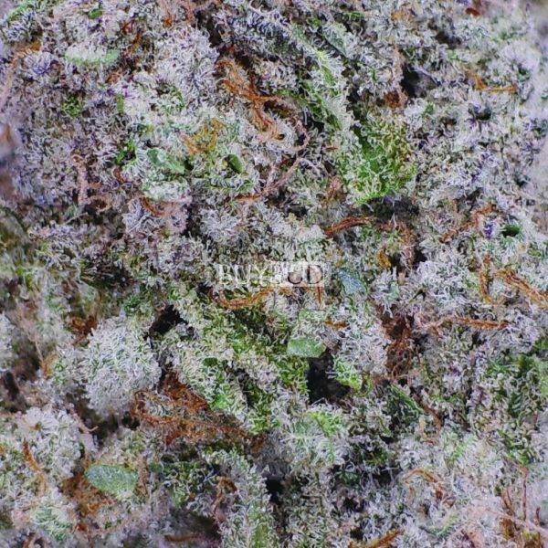 mac 1 cannabis