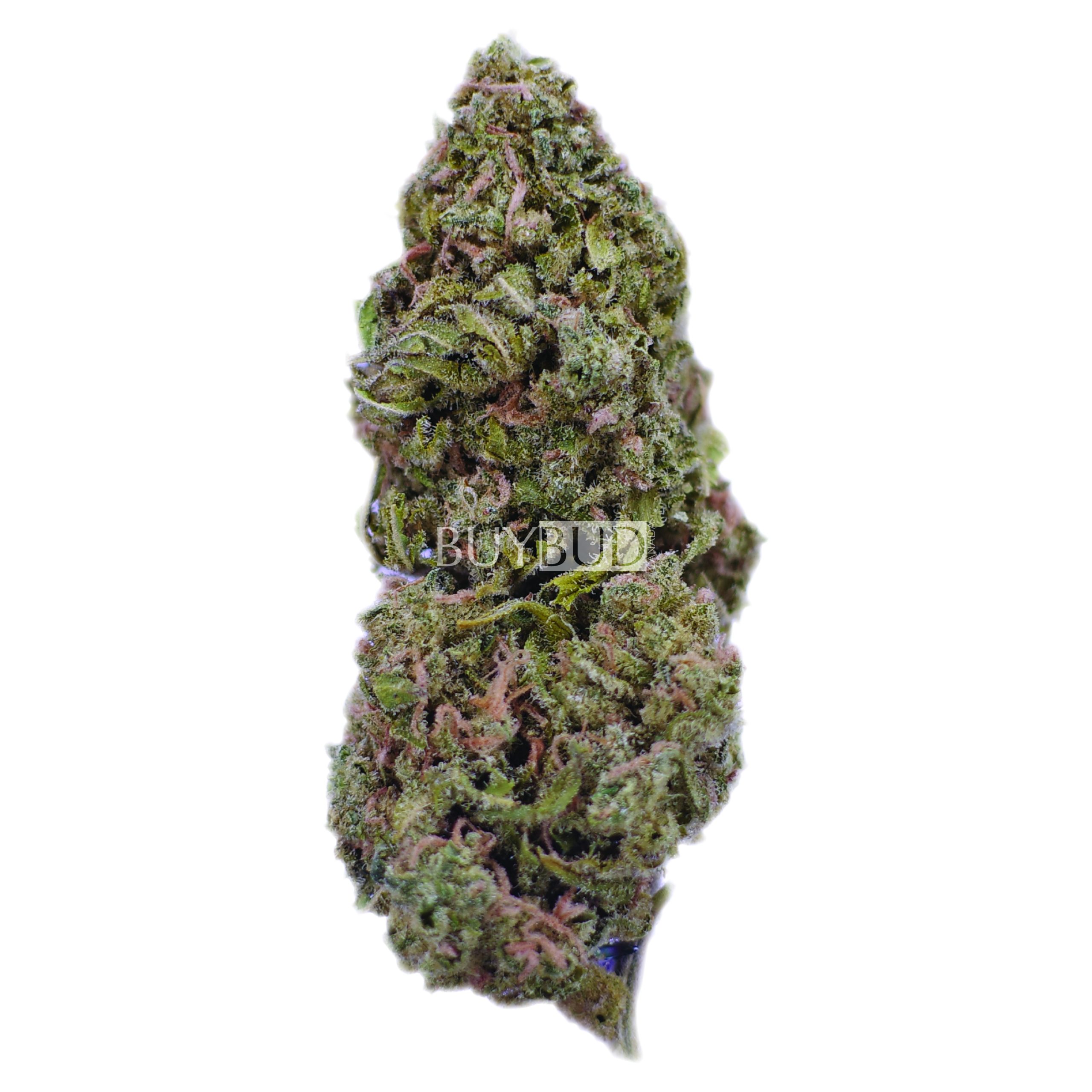 ak-47 cannabis