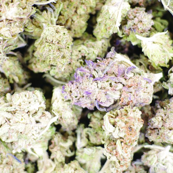 ak-47 cannabis