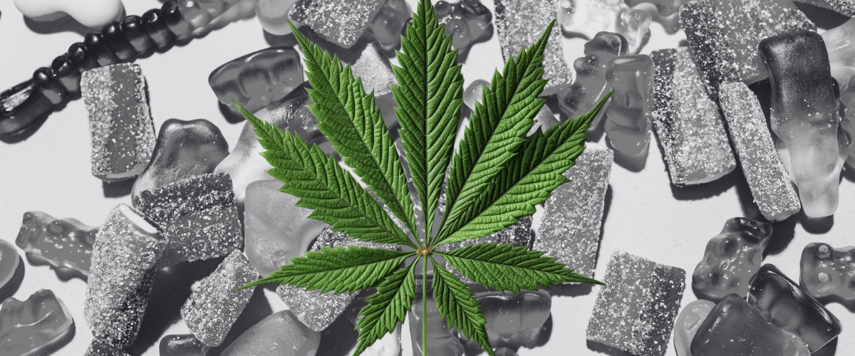 dosing with edibles - cannabis leaf with gummy edibles