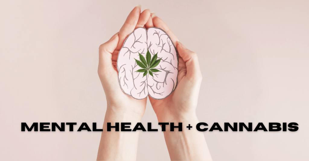 hand holding paper brain with cannabis leaf mental health cannabis buy bud canada