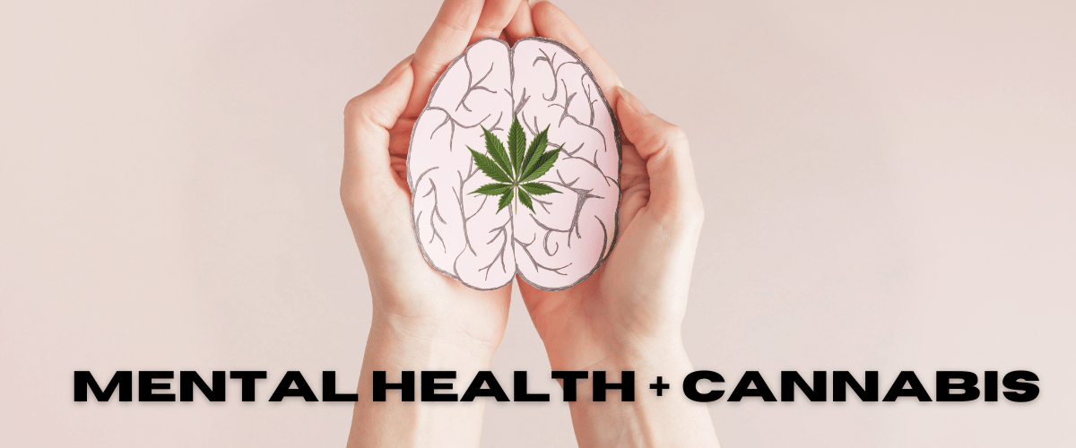 hand holding paper brain with cannabis leaf mental health cannabis buy bud canada